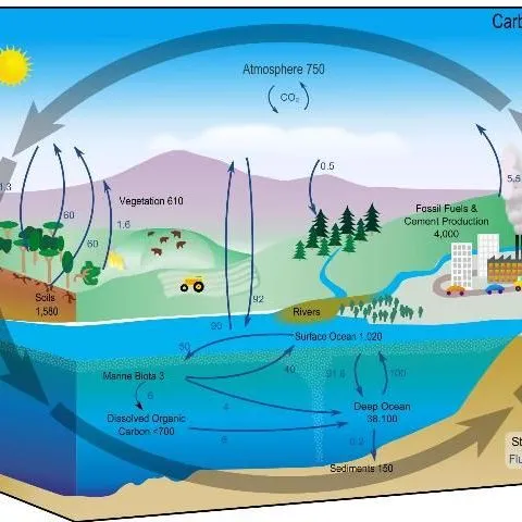 thumbnail for publication: Secuestro y Distribución de Carbono Orgánico del Suelo Bajo Diferentes Sistemas de Manejo de Pasturas